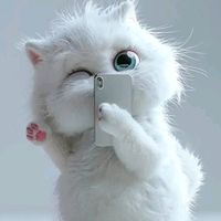 suara asli - Adelia♈