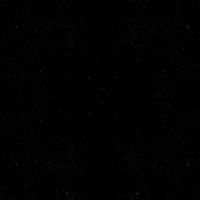 dan.nxz7