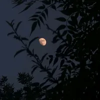 original sound - aestheticyaard