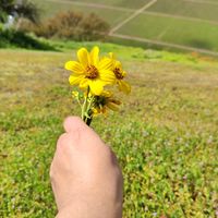 usiaria_no_encontrada