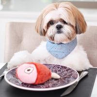bidushihtzu