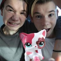 lps_mmer
