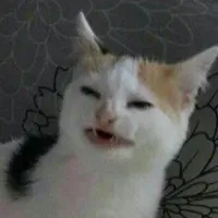 original sound - .idi.nahуй