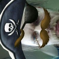dennissvanberg