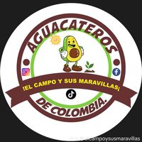 aguacaterosdecolombia