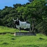 team_malacrianza