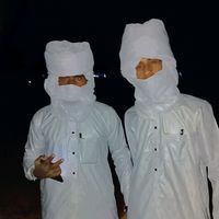 الصوت الأصلي