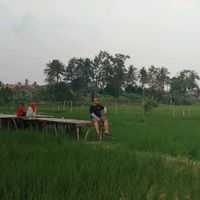 suara asli - kiranakenza(kike)