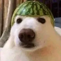 original sound - xalex730