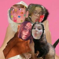 huronesbobes