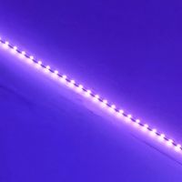 only.led