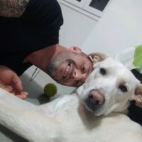 angelogambino291