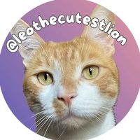 leothecutestlion