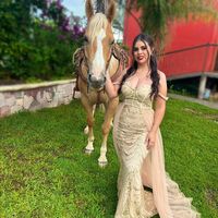 dmvelasco20