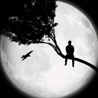 original sound - islamimusic4020