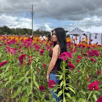 _mexicana13