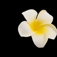 original sound - kingryk10