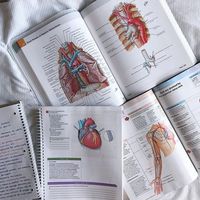 studyy.med