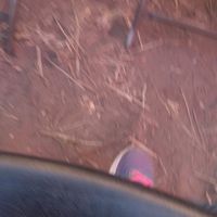 fan.de.kim.kenia10