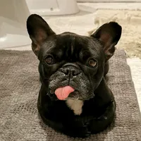 original sound - guaparia2017