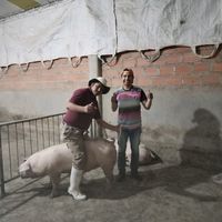 copamarco