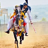 rajaarslan983