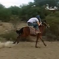 franciscoalvarado201