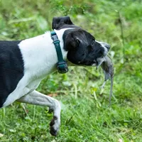 Dirty Ought Trill by Tyler Childers