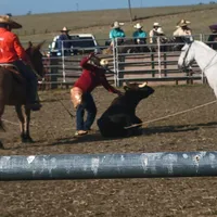 original sound - robertohernand9758