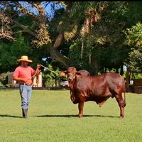 cristianoooliveiraaaa