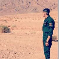 hamzahamza5132