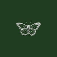 suara asli - 🦋