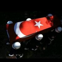 orijinal ses