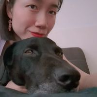 ke_from_china
