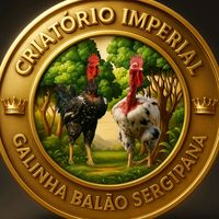 criatorio.imperial