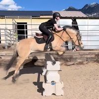 Uptown girl thatcrazyhorsegirl1018