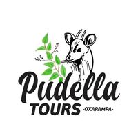 pudellatours.oxapampa