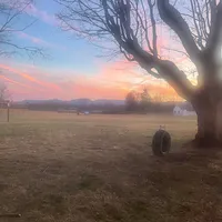 original sound - user134570011