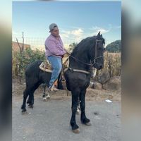 antonio.jimnez2182
