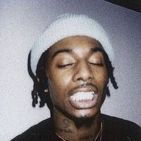 spotify playlist in bio