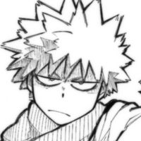 bakugoswifu._