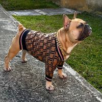 simbafrenchiezp