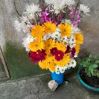 original sound - sandra.tum1