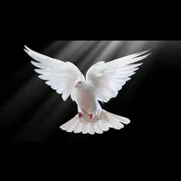 original sound - romaniataramea5