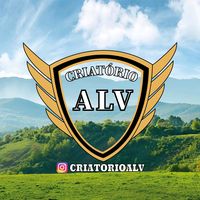 criatrio.alv0