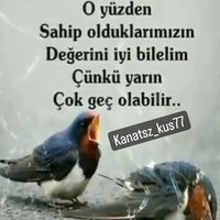 orijinal ses