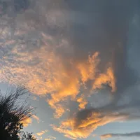 original sound - ..d.d2