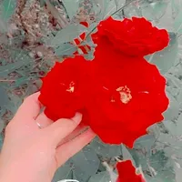 original sound - naincy_queen
