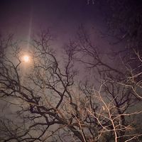 sonnysolstice