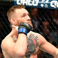 mcgregor.tw